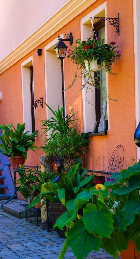 Sinnes Wandel Hof Serka グリンマ エクステリア 写真